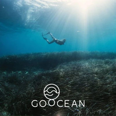 Goed doel Goocean